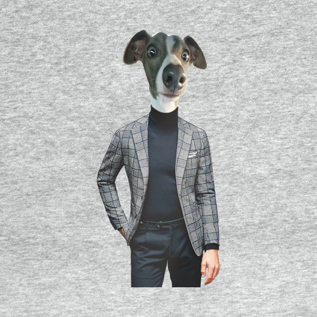 An grey Italian greyhound in a smart and dapper blue mens suit by Fruit Tee